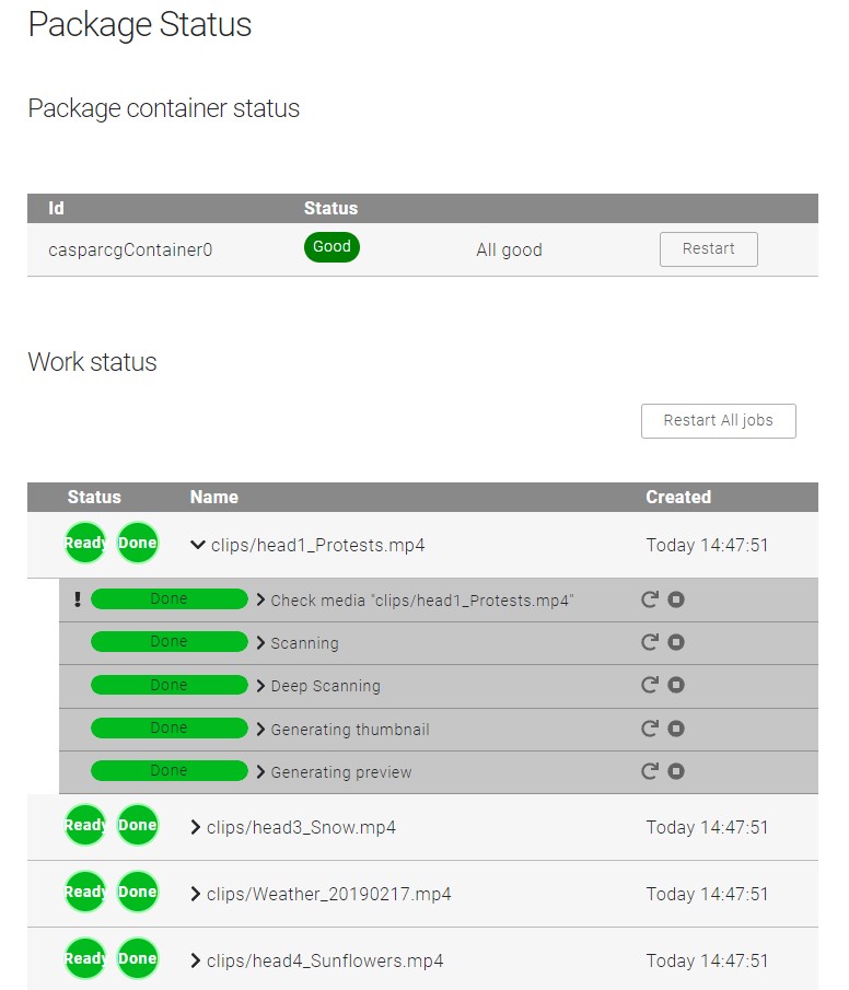 Example Package Manager status display
