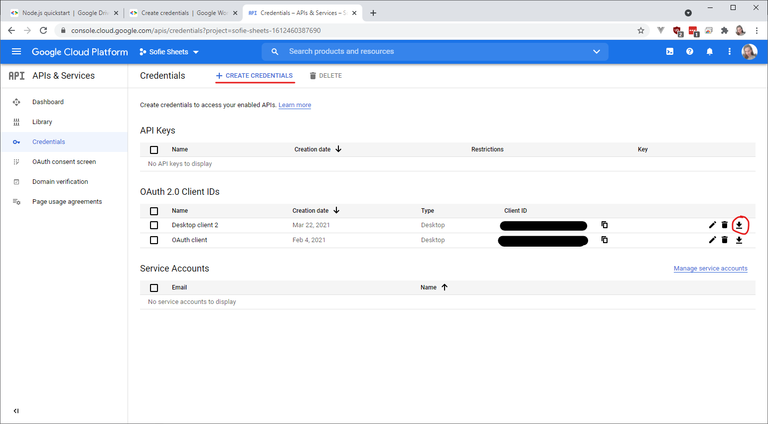 Create Credentials page
